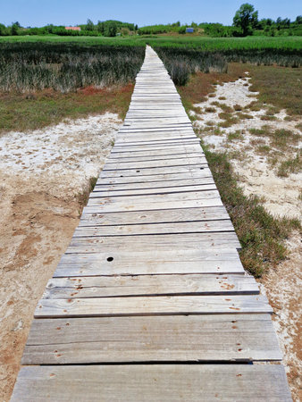 A wooden boardwalk stretches through a marshland surrounded by dry grass and green fields under a clear blue sky. The rustic pathway leads into the distance, capturing a peaceful countryside scene.の写真素材