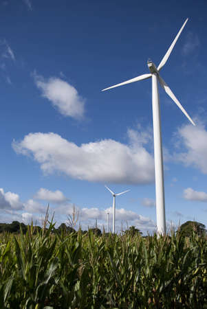 wind turbine and fieldの写真素材