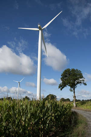 Wind turbine on country road の写真素材