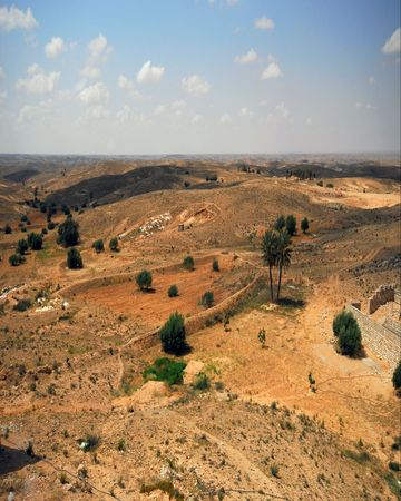 A view on shaddy desertの写真素材