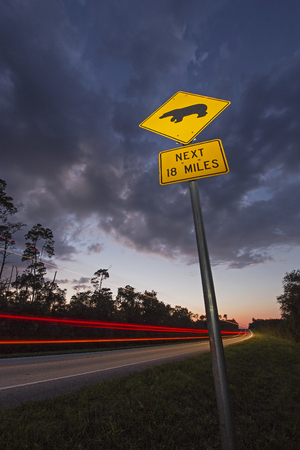 Bear Crossing Sign in Ocala National Forest, Florida