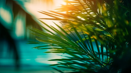 Blur beautiful nature green palm leaf on tropical beach, summer concept, generative aiの素材