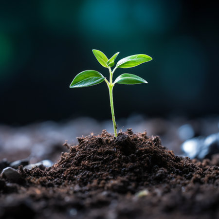 Green seedling illustrating concept of new life and beginning to grow.の素材