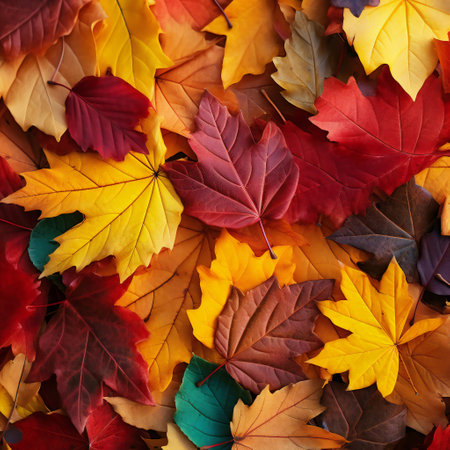 Colorful autumn maple leaves background. Flat lay, top view.の素材