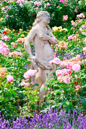 Beautiful stone statue in rose gardenの写真素材