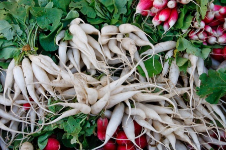 Tasty organic radish at local marketの写真素材