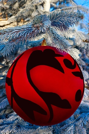 Christmas tree ball close up hanging from treeの写真素材