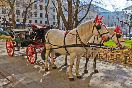 Fiaker horse carriage in Vienna, Austria (no people)のeditorial素材