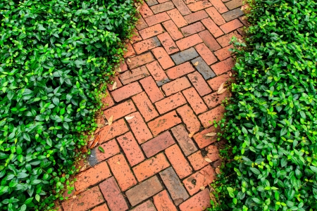 Red brick pathway in the garden (pattern / detail view)の写真素材