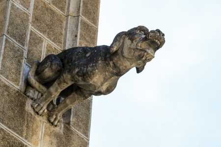 Gargoyle  gothic church architectural detail の写真素材