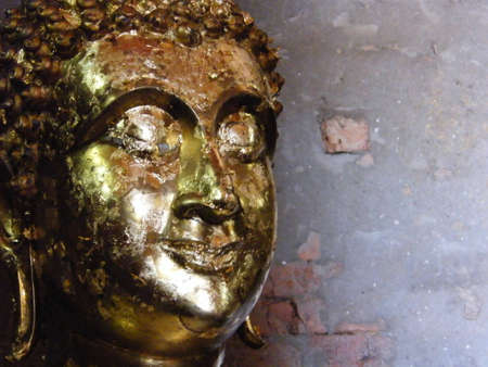 The golden face of monkの写真素材