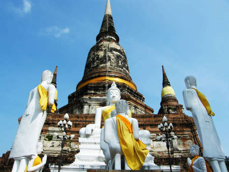 Green leaf at the Temple 15の写真素材