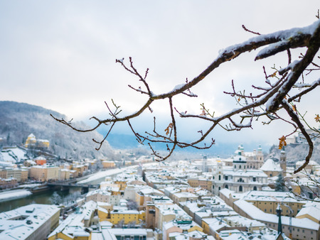 tree branches in the foreground with salzburg cityscape river and fortress