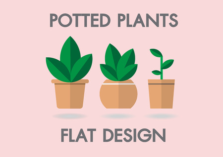 Potted Plants Vector flat house illustration. Colorful house for your design on pink backgound.のイラスト素材