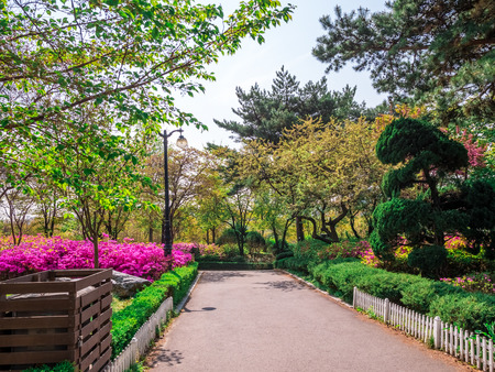 Seokchon Lake park in Summer season in Seoul, South Koreaの写真素材