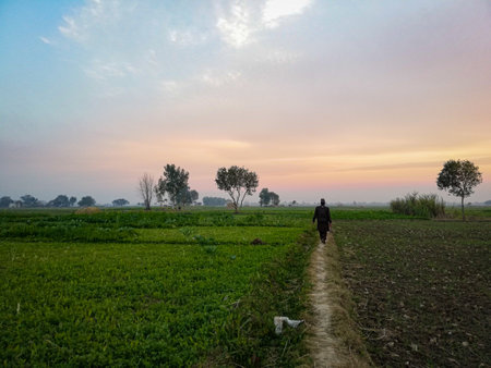 image of a man walking in the field at sunset.の写真素材