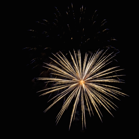 Fireworks, salute with the black sky background 