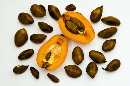 eriobotrya japonica, shesek - delicious and healthy sub-tropical fruits.の写真素材