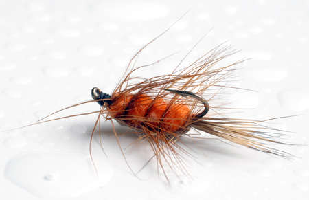 fly fishingの写真素材