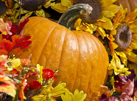 Pumpkin and flowers representing fallの写真素材