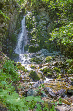 Tropical waterfall in rain forestの写真素材