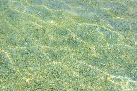 Tiger Beach Seascape water background. Background image of the bright white rippled sand on the...