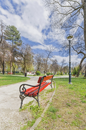 red bench in spring, summer park vertical, wide angleの写真素材