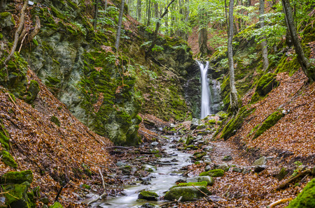 Famous waterfall in macedonia ecological clean environment deep in the forest.の写真素材