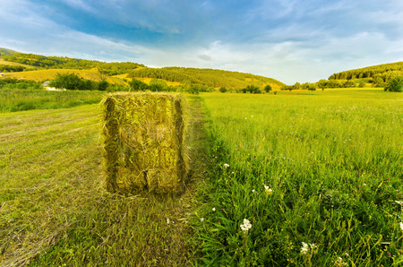 Harvest straw bale - a countryside photo in early sunsetの写真素材