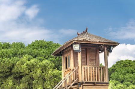 Tropical Tree Houseの写真素材