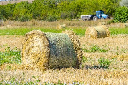Round straw ballas on field at harvest time with a blur tractor at backgroundの写真素材
