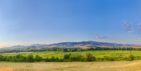 Panorama of the yellow wheat and green paddy rice fieldsの写真素材