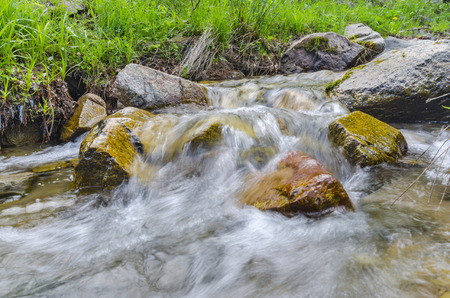 mountain stream in deep macedonian forestの写真素材