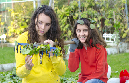 two beautiful happy girls cleaning home garden leafsの写真素材