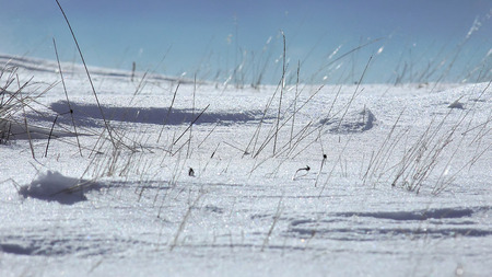 Arctic Alaska Storm, Snow Drift, High Windの写真素材