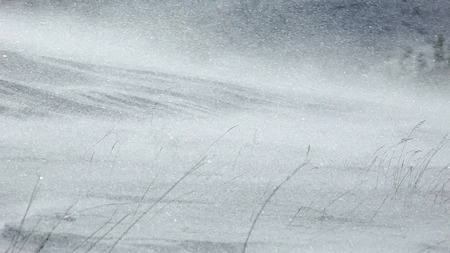 Snow flurries blowing across an arctic landscapeの写真素材