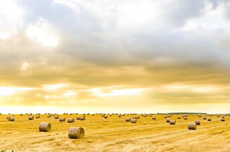 Autumn wallpaper - bale on field under beautiful sunrise orange sky. Photo with space for your montageの写真素材