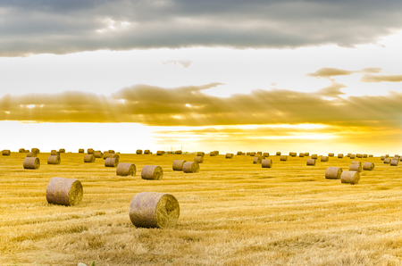 Focus on hay bale in the foreground in rural field with dramatic sunrise skyの写真素材