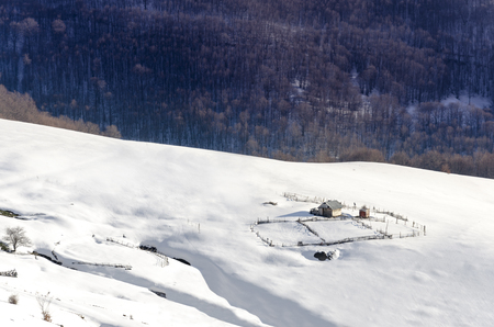 Sheep herd house on winter snow mountain plateau pastureの写真素材