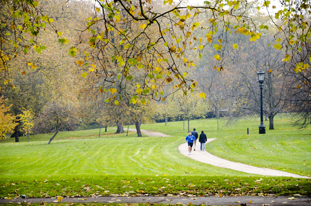 LONDON - circa OCT, 2013: Hyde Park a favorite vacation spot visitors and Londoners in London. Hyde Park (142 hectares) - one of largest parks in central London and one of Royal Parks of Londonのeditorial素材