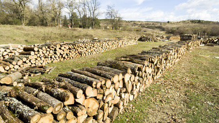 Natural wooden background - closeup of chopped firewood. Firewood stacked and prepared for winter Pile of wood logsの写真素材