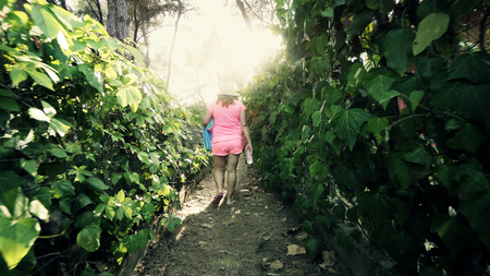 Two woman walking to beach on narrow foliage passage amoung camping wooden houses in the forest, cinematic steadicam shotの写真素材