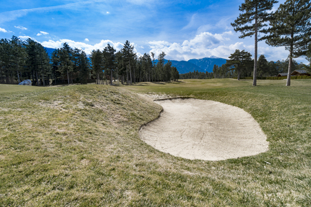 Golf course, natural green meadow with trees and blue skyの写真素材