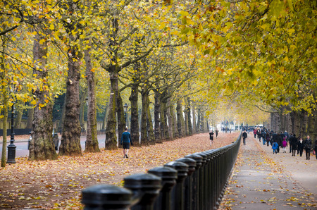 Autumn perspective trees in Hyde Park at Constitution Hill road from Buchingham palace towar Wellington Archのeditorial素材