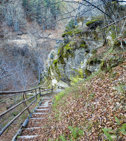 Autumn panorama of mountain hiking trail with wooden stairsの写真素材