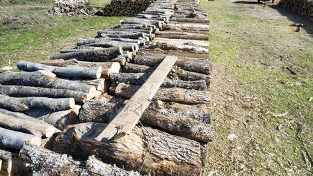 Background of dry chopped firewood logs in a pileの写真素材
