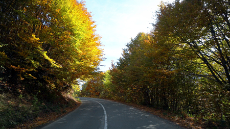 Vehicle point-of-view driving on rural road in mountain among autumn yellow treesの写真素材