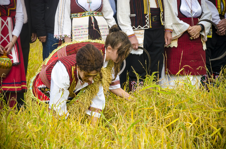 Kochani, Macedonia - circa Jun, 2015: People dressed in old ethno clothes at manual rice harvesting manifestation on sunny dayのeditorial素材