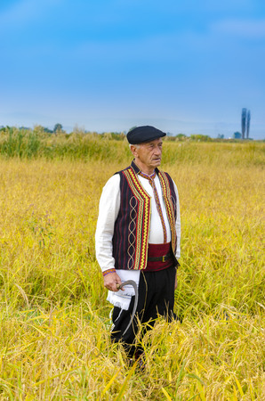 Kochani, Macedonia - circa Jun, 2015: People dressed in old ethno clothes at manual rice harvesting manifestation on sunny dayのeditorial素材