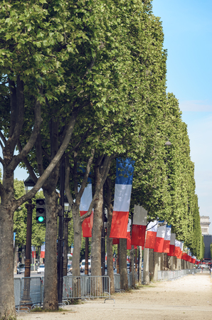 Raw of Trees with celebration flags waving at Champs-Elysees famous street in Paris, Franceの写真素材